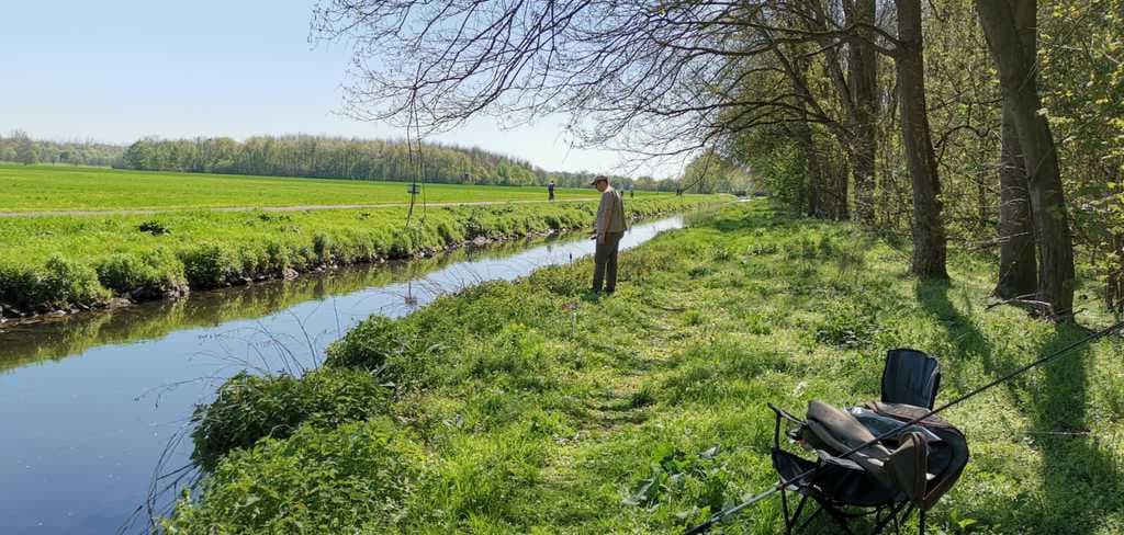 Sattes Grün an den Ufern des Erftflutkanals