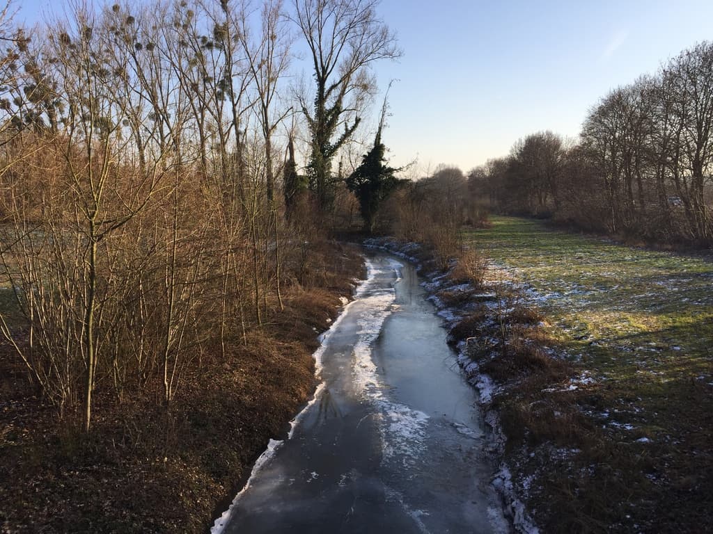 Uferpartie an der Erft