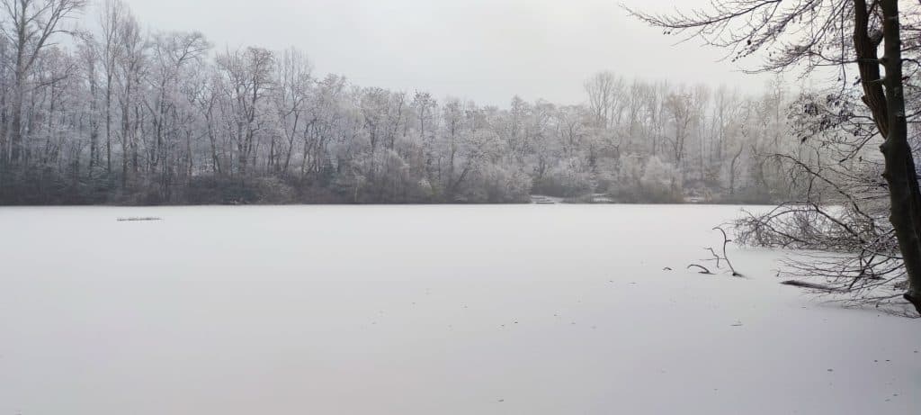 Verschneites Ufer am Salzweiher