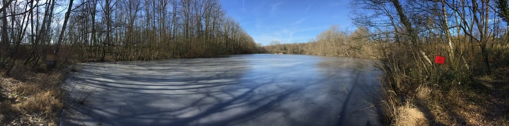 Der Salzweiher im Winter